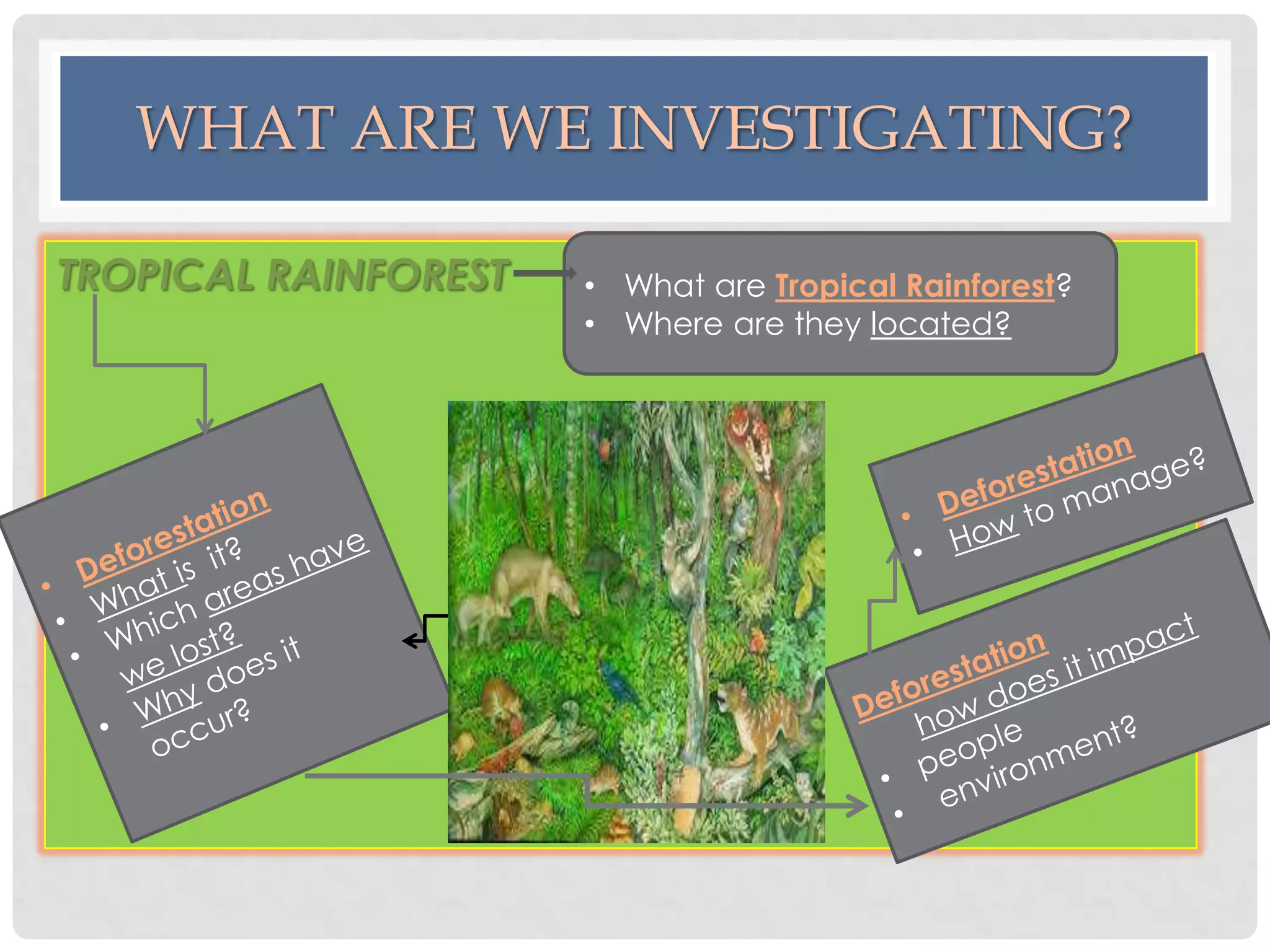 WHAT ARE WE INVESTIGATING?
TROPICAL RAINFOREST

• What are Tropical Rainforest?
• Where are they located?

 