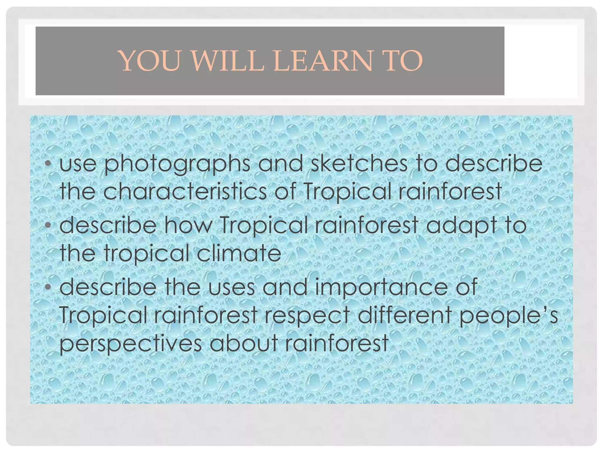 YOU WILL LEARN TO
• use photographs and sketches to describe
the characteristics of Tropical rainforest
• describe how Tropical rainforest adapt to
the tropical climate
• describe the uses and importance of
Tropical rainforest respect different people’s
perspectives about rainforest

 