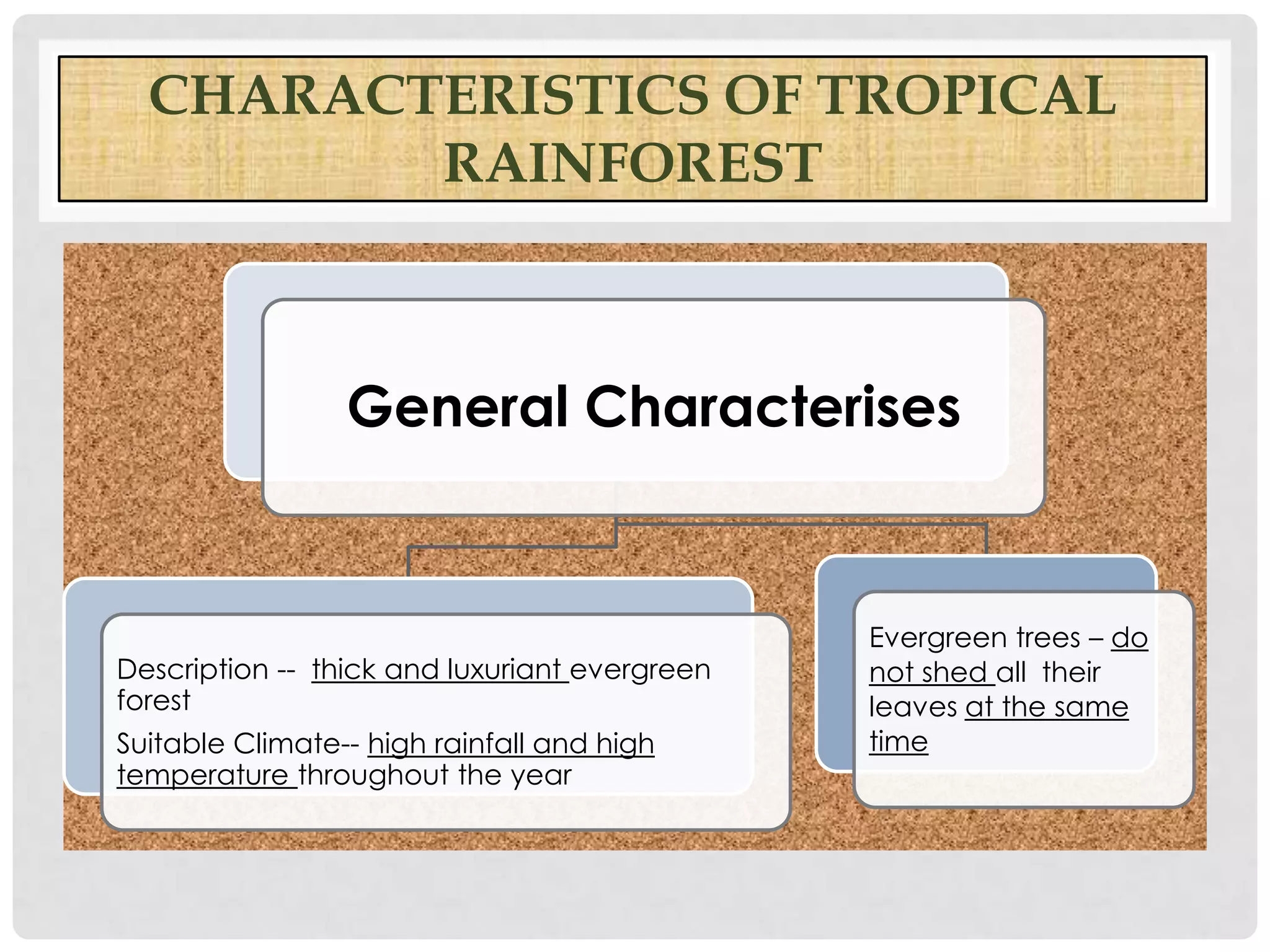 CHARACTERISTICS OF TROPICAL
RAINFOREST

General Characterises

Description -- thick and luxuriant evergreen
forest
Suitable Climate-- high rainfall and high
temperature throughout the year

Evergreen trees – do
not shed all their
leaves at the same
time

 