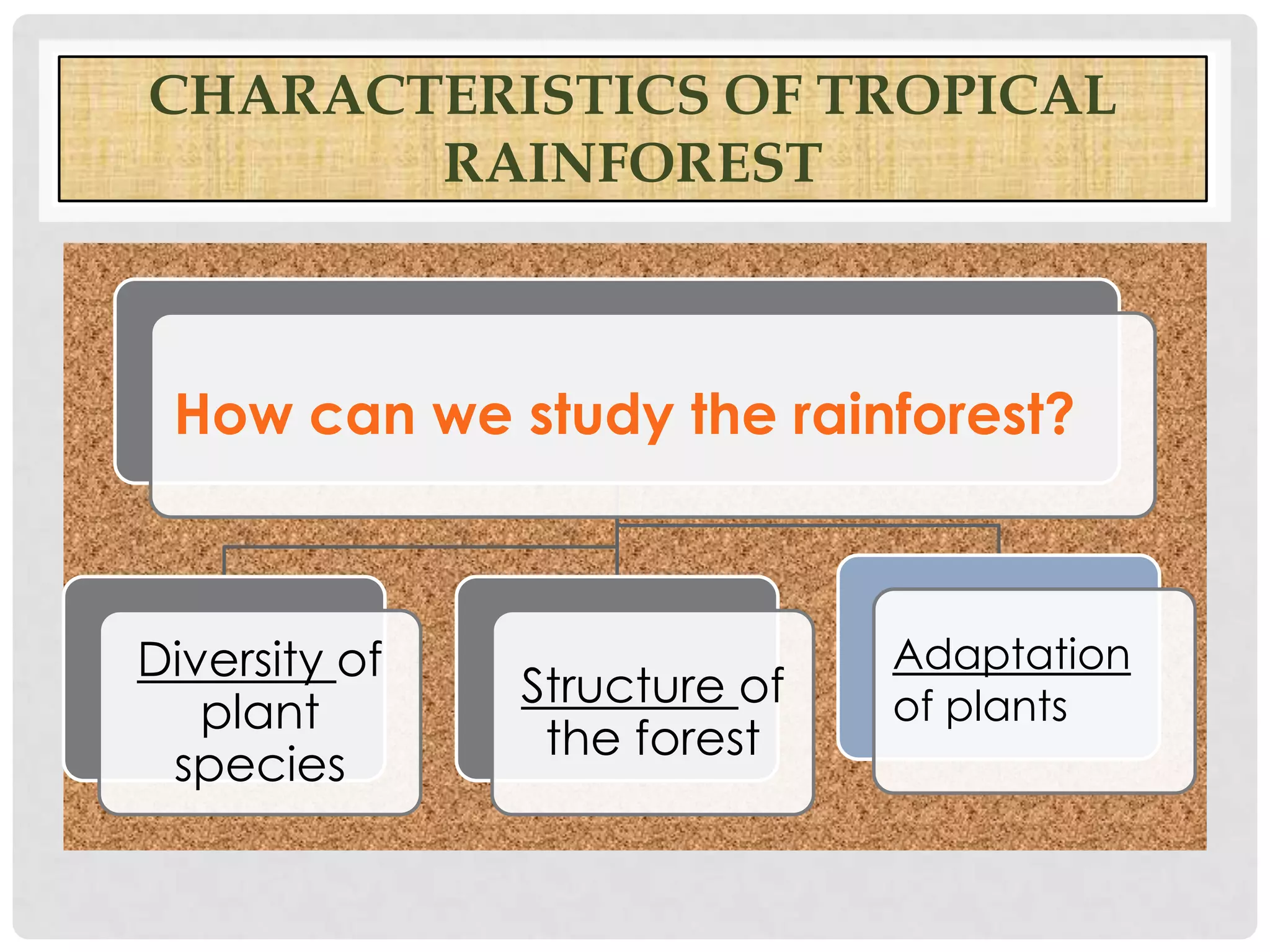 CHARACTERISTICS OF TROPICAL
RAINFOREST

How can we study the rainforest?

Diversity of
plant
species

Structure of
the forest

Adaptation
of plants

 