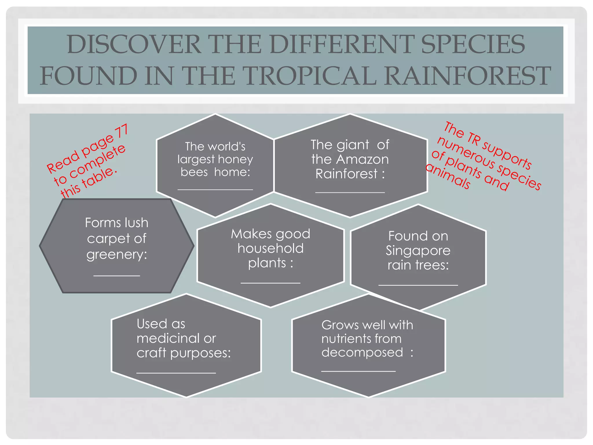 DISCOVER THE DIFFERENT SPECIES
FOUND IN THE TROPICAL RAINFOREST
The world's
largest honey
bees home:
_____________

Forms lush
carpet of
greenery:
_______

Makes good
household
plants :
_________

Used as
medicinal or
craft purposes:
____________

The giant of
the Amazon
Rainforest :
____________

Found on
Singapore
rain trees:
____________
Grows well with
nutrients from
decomposed :
____________

 