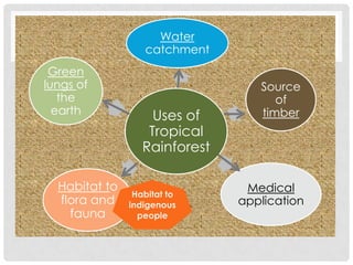 Water
catchment
Green
lungs of
the
earth

Habitat to
flora and
fauna

Uses of
Tropical
Rainforest
Habitat to
indigenous
people

Source
of
timber

Medical
application

 