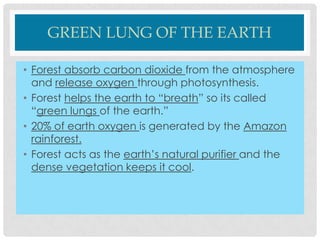 GREEN LUNG OF THE EARTH
• Forest absorb carbon dioxide from the atmosphere
and release oxygen through photosynthesis.
• Forest helps the earth to “breath” so its called
“green lungs of the earth.”
• 20% of earth oxygen is generated by the Amazon
rainforest.
• Forest acts as the earth’s natural purifier and the
dense vegetation keeps it cool.

 