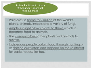 • Rainforest is home to 2 million of the world’s
plants, animals, insects and a variety of fungi.
• Ample sunlight allows plants to thrive which in
becomes food to animals.
• The canopy allows other plants and animals to
survive.
• Indigenous people obtain food through hunting or
as shifting cultivators and depend on the rainforest
for basic necessities too.

 