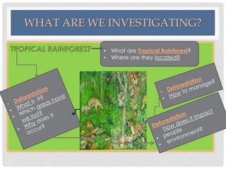 WHAT ARE WE INVESTIGATING?
TROPICAL RAINFOREST

• What are Tropical Rainforest?
• Where are they located?

 