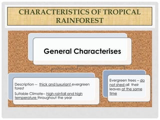 CHARACTERISTICS OF TROPICAL
RAINFOREST

General Characterises

Description -- thick and luxuriant evergreen
forest
Suitable Climate-- high rainfall and high
temperature throughout the year

Evergreen trees – do
not shed all their
leaves at the same
time

 