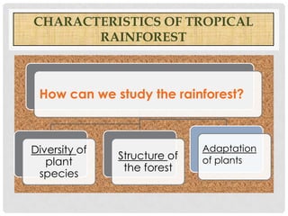 CHARACTERISTICS OF TROPICAL
RAINFOREST

How can we study the rainforest?

Diversity of
plant
species

Structure of
the forest

Adaptation
of plants

 