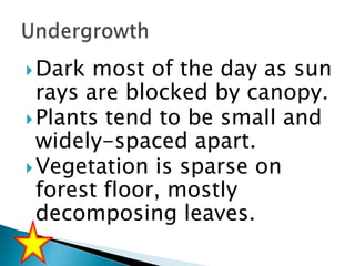  Dark

most of the day as sun
rays are blocked by canopy.
 Plants tend to be small and
widely-spaced apart.
 Vegetation is sparse on
forest floor, mostly
decomposing leaves.

 