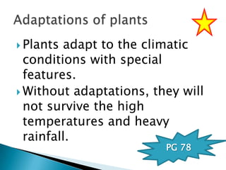  Plants

adapt to the climatic
conditions with special
features.
 Without adaptations, they will
not survive the high
temperatures and heavy
rainfall.
PG 78

 