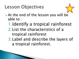 

At the end of the lesson you will be
able to :

1.Identify a tropical rainforest

2.List the characteristics of a
tropical rainforest
3.Label and describe the layers of
a tropical rainforest.

 