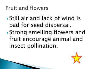  Still

air and lack of wind is
bad for seed dispersal.
 Strong smelling flowers and
fruit encourage animal and
insect pollination.

 