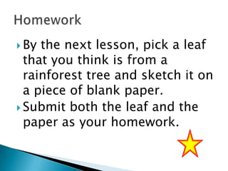  By

the next lesson, pick a leaf
that you think is from a
rainforest tree and sketch it on
a piece of blank paper.
 Submit both the leaf and the
paper as your homework.

 