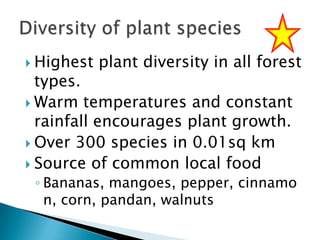  Highest

plant diversity in all forest

types.
 Warm temperatures and constant
rainfall encourages plant growth.
 Over 300 species in 0.01sq km
 Source of common local food

◦ Bananas, mangoes, pepper, cinnamo
n, corn, pandan, walnuts

 