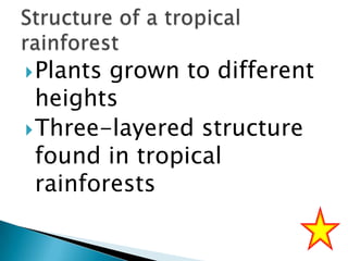  Plants

grown to different
heights
 Three-layered structure
found in tropical
rainforests

 