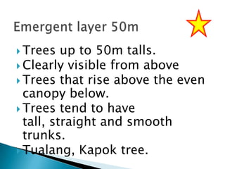  Trees

up to 50m talls.
 Clearly visible from above
 Trees that rise above the even
canopy below.
 Trees tend to have
tall, straight and smooth
trunks.
 Tualang, Kapok tree.

 