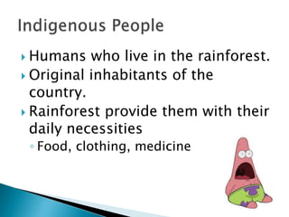  Humans who live in the rainforest.
 Original inhabitants of the
country.
 Rainforest provide them with their
daily necessities
◦ Food, clothing, medicine
 