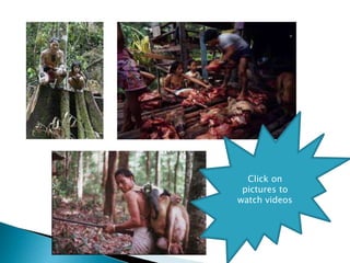 Click on
pictures to
watch videos
 