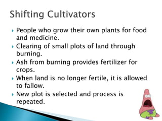  People who grow their own plants for food
and medicine.
 Clearing of small plots of land through
burning.
 Ash from burning provides fertilizer for
crops.
 When land is no longer fertile, it is allowed
to fallow.
 New plot is selected and process is
repeated.
 