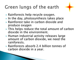  Rainforests help recycle oxygen.
 In the day, photosynthesis takes place
 Rainforest take in carbon dioxide and
produce oxygen
 This helps reduce the total amount of carbon
dioxide in the environment.
 Human industrial activity releases large
amount of carbon dioxide, we need the
rainforests.
 Rainforests absorb 2.4 billion tonnes of
carbon dioxide in a year.
 