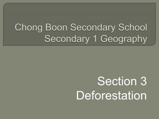 Section 3
Deforestation

 