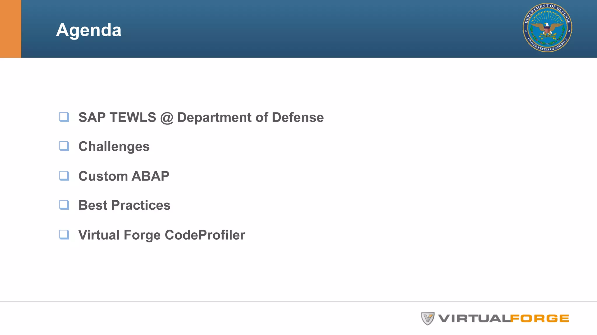 Agenda 
q SAP TEWLS @ Department of Defense 
q Challenges 
q Custom ABAP 
q Best Practices 
q Virtual Forge CodeProfiler 
 