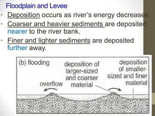 Floodplain and Levee
• Deposition occurs as river’s energy decreases.
• Coarser and heavier sediments are deposited
nearer to the river bank.
• Finer and lighter sediments are deposited
further away.
 