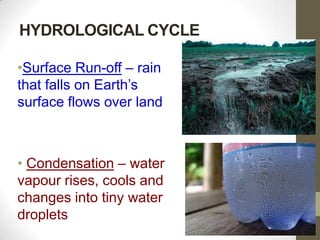 HYDROLOGICAL CYCLE
•Surface Run-off – rain
that falls on Earth’s
surface flows over land
• Condensation – water
vapour rises, cools and
changes into tiny water
droplets
 