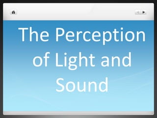 The Perception
of Light and
Sound

 