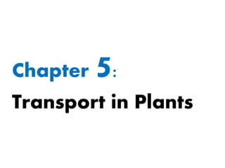 Chapter 5:
Transport in Plants
 