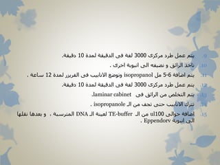 .9‫مركزى‬ ‫طرد‬ ‫عمل‬ ‫يتم‬3000‫لمدة‬ ‫الدقيقة‬ ‫فى‬ ‫لفة‬10‫دقيقة‬.
.10‫اخرى‬ ‫انبوبة‬ ‫الى‬ ‫نضيفه‬ ‫و‬ ‫الرائق‬ ‫ناخذ‬.
.11‫اضافة‬ ‫يتم‬6-5‫مل‬isopropanol‫لمدة‬ ‫الفريزر‬ ‫فى‬ ‫االنابيب‬ ‫وتوضع‬12‫ساعة‬.
.12‫مركزى‬ ‫طرد‬ ‫عمل‬ ‫يتم‬3000‫لمدة‬ ‫الدقيقة‬ ‫فى‬ ‫لفة‬10‫دقيقة‬.
.13‫فى‬ ‫الرائق‬ ‫من‬ ‫التخلص‬ ‫يتم‬laminar cabinet.
.14‫الـ‬ ‫من‬ ‫تجف‬ ‫حتى‬ ‫االنابيب‬ ‫تترك‬isopropanole.
.15‫حوالى‬ ‫اضافة‬100ul‫الـ‬ ‫من‬TE-buffer‫الـ‬ ‫لعينة‬DNA‫نقلها‬ ‫بعدها‬ ‫و‬ ، ‫المترسبة‬
‫انبوبة‬ ‫الى‬Eppendorv.
 