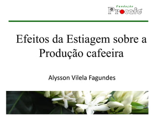 Efeitos da Estiagem sobre a
Produção cafeeira
Alysson Vilela Fagundes
 