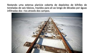 Restando uma extensa planície coberta de depósitos de bilhões de
toneladas de sais tóxicos, trazidos para ali ao longo de décadas por águas
infiltradas dos rios através dos campos.
 