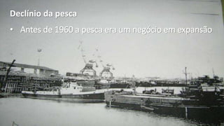 • Antes de 1960 a pesca era um negócio em expansão
Declínio da pesca
 