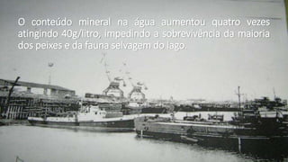 O conteúdo mineral na água aumentou quatro vezes
atingindo 40g/litro, impedindo a sobrevivência da maioria
dos peixes e da fauna selvagem do lago.
 