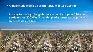 • A magnitude média da precipitação é de 150-200 mm.
• A estação mais prolongada baixou também para 170 dias,
perdendo os 200 dias livres de geadas necessárias para as
colheitas do algodão.
 