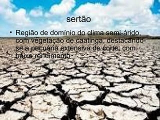 sertão
• Região de domínio do clima semi-árido,
  com vegetação de caatinga, destacando-
  se a pecuária extensiva de corte, com
  baixo rendimento
 
