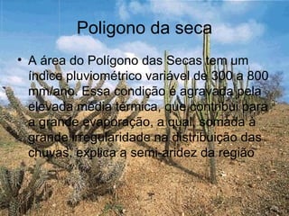 Poligono da seca
• A área do Polígono das Secas tem um
  índice pluviométrico variável de 300 a 800
  mm/ano. Essa condição é agravada pela
  elevada média térmica, que contribui para
  a grande evaporação, a qual, somada à
  grande irregularidade na distribuição das
  chuvas, explica a semi-aridez da região
 