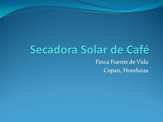Secadora solar de café ing. Carlos Roberto Fuentes Guerra