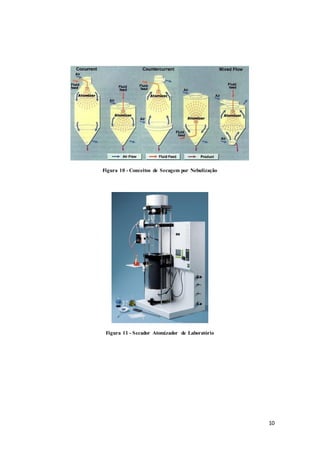 10
Figura 10 - Conceitos de Secagem por Nebulização
Figura 11 - Secador Atomizador de Laboratório
 