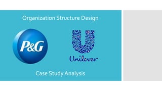 Organization Structure Design
Case Study Analysis
 