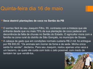 Quinta-feira dia 16 de maio
 Seca destrói plantações de coco no Sertão da PB
 O sorriso fácil de seu Joaquim Filho, 55, contrasta com a tristeza que ele
enfrenta desde que viu mais 75% da sua plantação de coco padecer em
decorrência da falta de chuvas no Sertão do Estado. O agricultor mora com a
família na zona rural do distrito de São Gonçalo, no município de Sousa.
 A cabeça de gado que em condições normais custaria R$ 2 mil, foi entregue
por R$ 600,00. “Os animais iam morrer de fome e de sede. Minha única
saída foi vender”, declarou. Para seu Joaquim, restou apenas uma vaca e
um bezerro, os quais ele cuida com todo o zelo possível, com medo de
também ter que vendê-los.
 