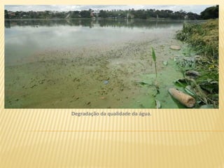 Degradação da qualidade da água.
 