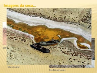 Imagens da seca…
Sahel
Perdas agrícolas
Mar de Aral
 