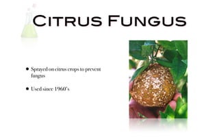 Citrus Fungus


• Sprayed on citrus crops to prevent
   fungus

• Used since 1960’s
 