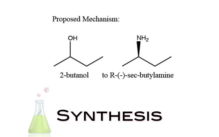 sec butylamine synthesis and
