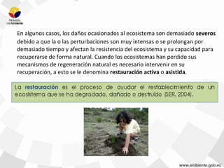 En algunos casos, los daños ocasionados al ecosistema son demasiado severos
debido a que la o las perturbaciones son muy intensas o se prolongan por
demasiado tiempo y afectan la resistencia del ecosistema y su capacidad para
recuperarse de forma natural. Cuando los ecosistemas han perdido sus
mecanismos de regeneración natural es necesario intervenir en su
recuperación, a esto se le denomina restauración activa o asistida.
 