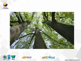 Sección 1. unidad 10