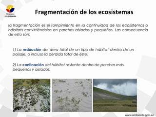 Fragmentación de los ecosistemas
la fragmentación es el rompimiento en la continuidad de los ecosistemas o
hábitats convirtiéndolos en parches aislados y pequeños. Las consecuencia
de esto son:
1) La reducción del área total de un tipo de hábitat dentro de un
paisaje, o incluso la pérdida total de éste.
2) La confinación del hábitat restante dentro de parches más
pequeños y aislados.
 