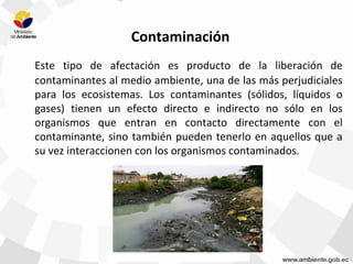Contaminación
Este tipo de afectación es producto de la liberación de
contaminantes al medio ambiente, una de las más perjudiciales
para los ecosistemas. Los contaminantes (sólidos, líquidos o
gases) tienen un efecto directo e indirecto no sólo en los
organismos que entran en contacto directamente con el
contaminante, sino también pueden tenerlo en aquellos que a
su vez interaccionen con los organismos contaminados.
Fuente: Ministerio del Ambiente
 