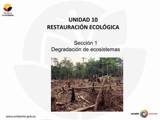 UNIDAD 10
RESTAURACIÓN ECOLÓGICA
Sección 1
Degradación de ecosistemas
 